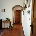 Bb Bolgheri Mare