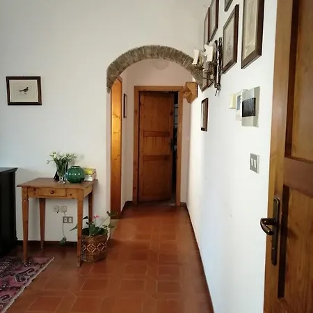 Bb Bolgheri Mare