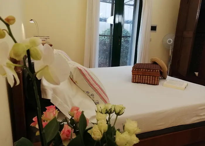 Bed & Breakfast Bb Bolgheri Mare Donoratico