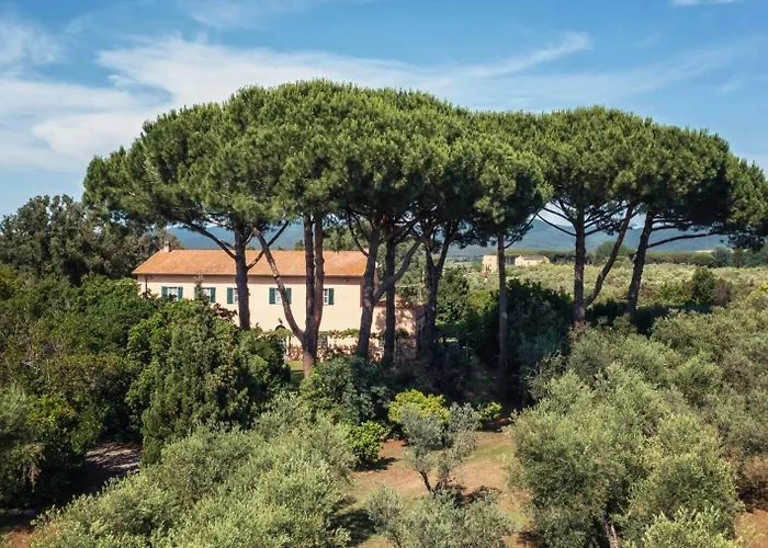 Bb Bolgheri Mare Bed & Breakfast Donoratico