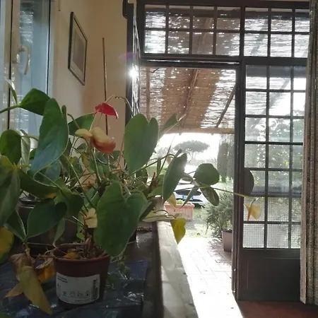 Bb Bolgheri Mare Bed & Breakfast Donoratico